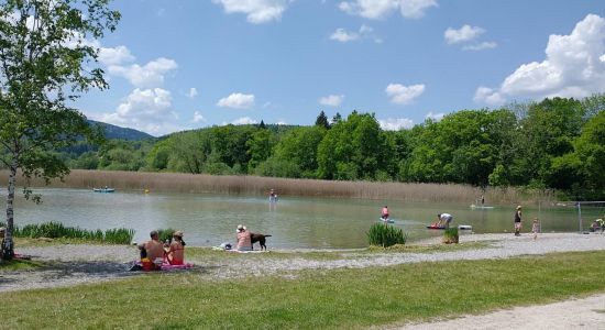 Hundestrand