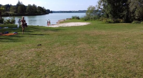 Hundestrand Salzachinsel