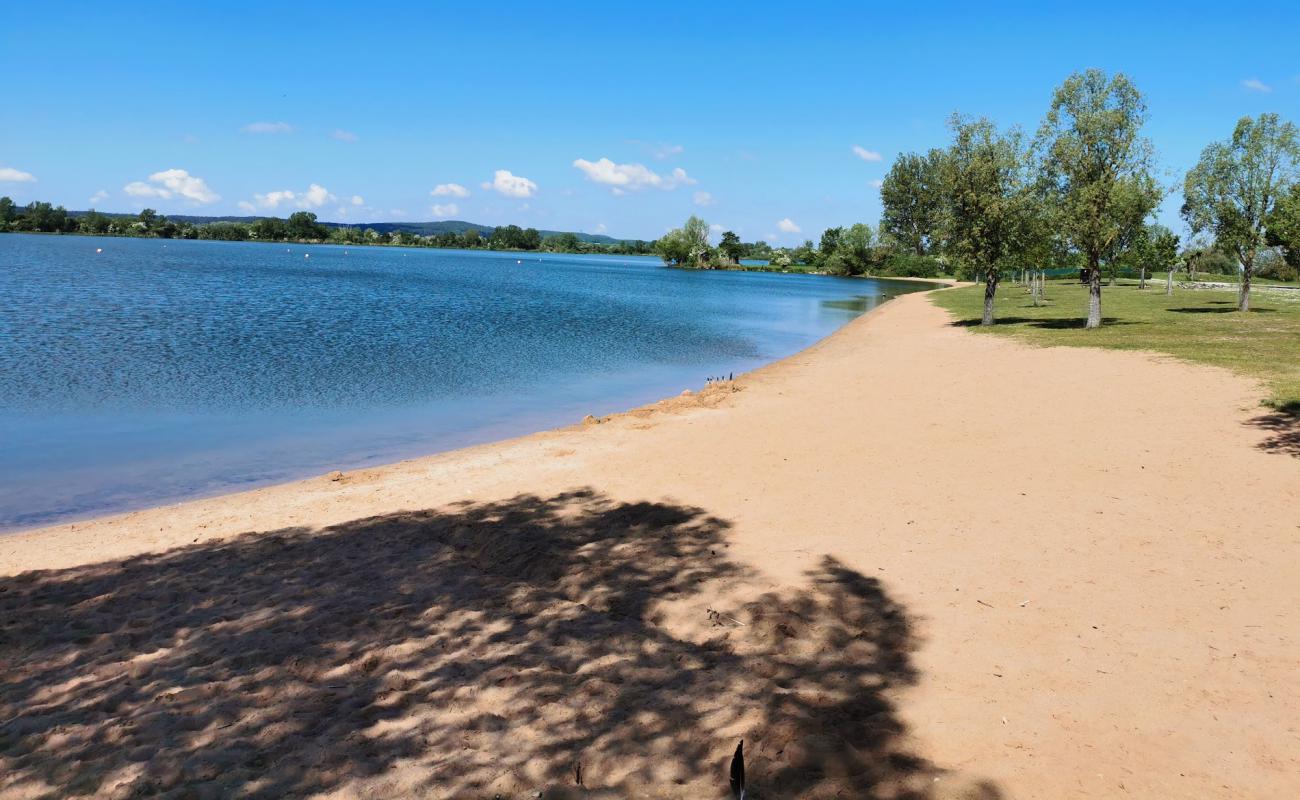 Foto de Seeufer Muhr am See con arena brillante superficie