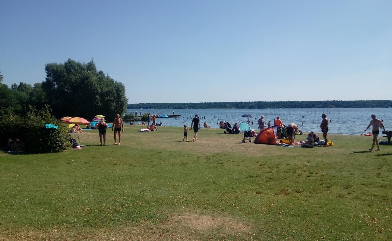 Foto de Volksbad Beach con hierba superficie