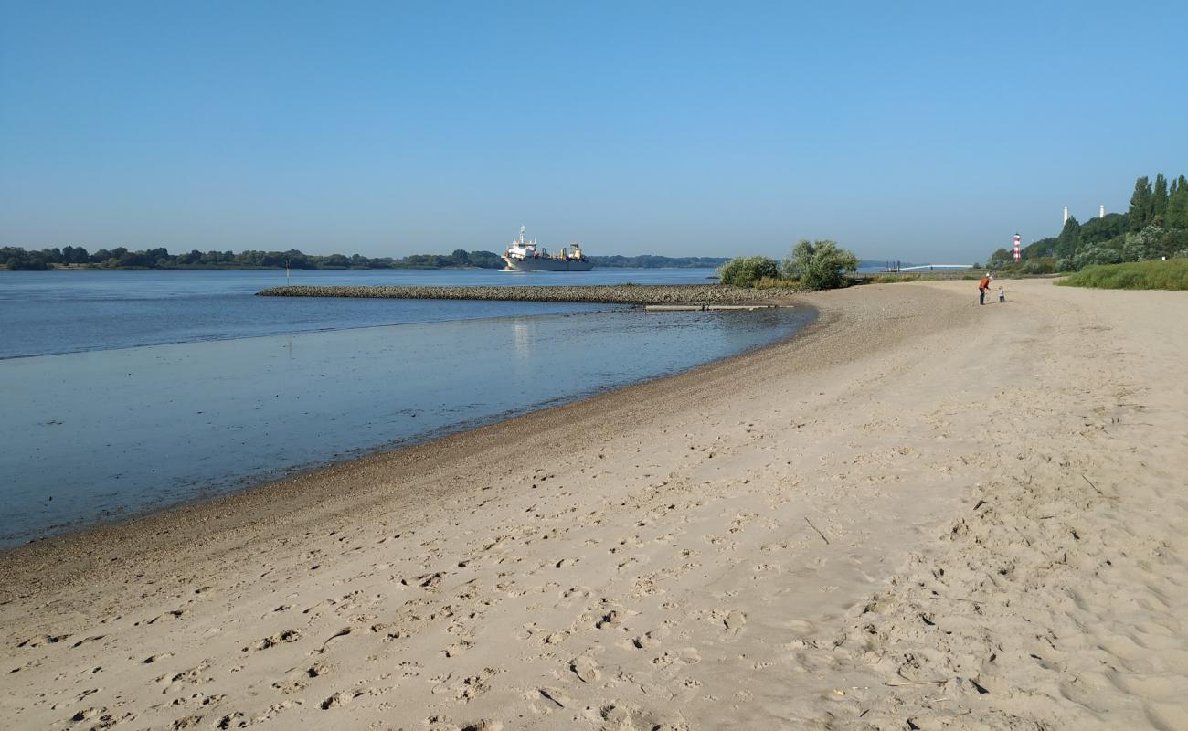 Foto de Falkensteiner Ufer con brillante arena fina superficie