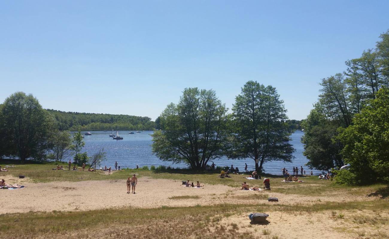 Foto de Weisser Strand Flakensee con arena brillante superficie