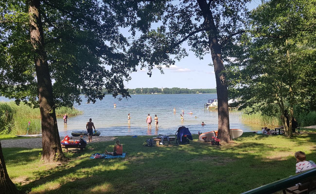 Foto de Reichenwalde Strand con hierba superficie