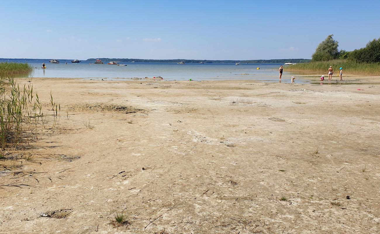 Foto de Badestrand Kolpinsee con arena brillante superficie