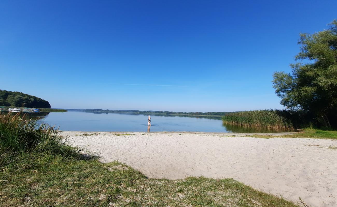 Foto de Hundestrand Dahmen con arena brillante superficie