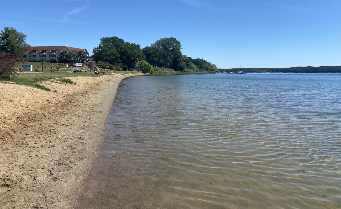 Foto de Seelust Hundestrand con hierba superficie