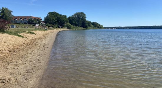 Seelust Hundestrand