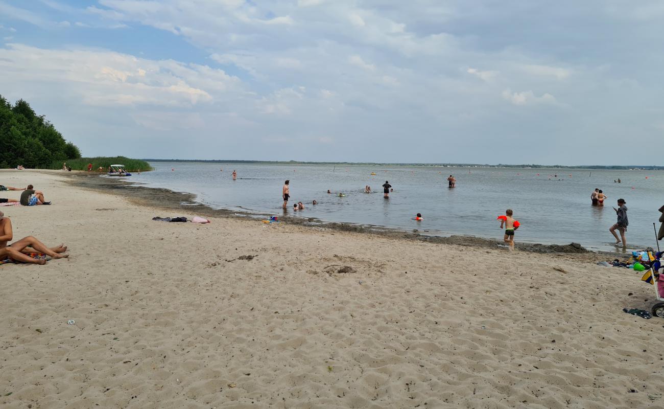 Foto de Badestrand Steinhuder Meer Nordufer con arena brillante superficie