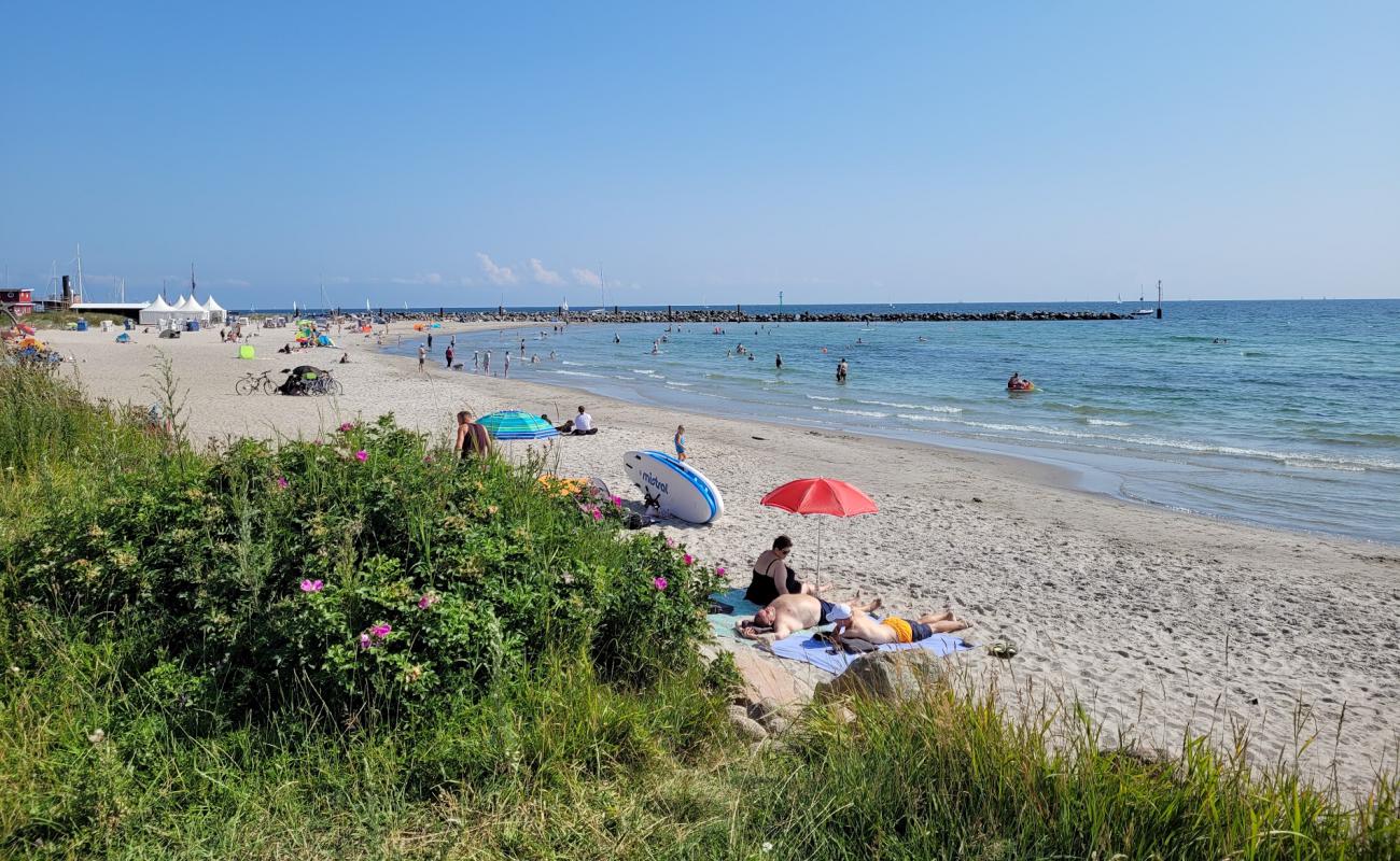 Foto de Damp strand con arena brillante superficie