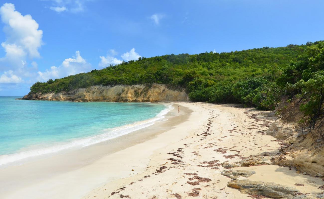 Foto de Bush Bay beach con brillante arena fina superficie