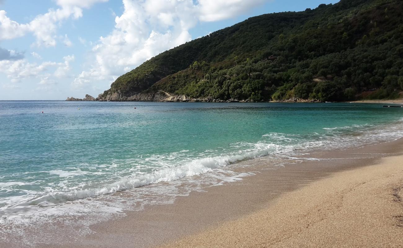 Foto de Lichnos beach con arena de concha brillante superficie