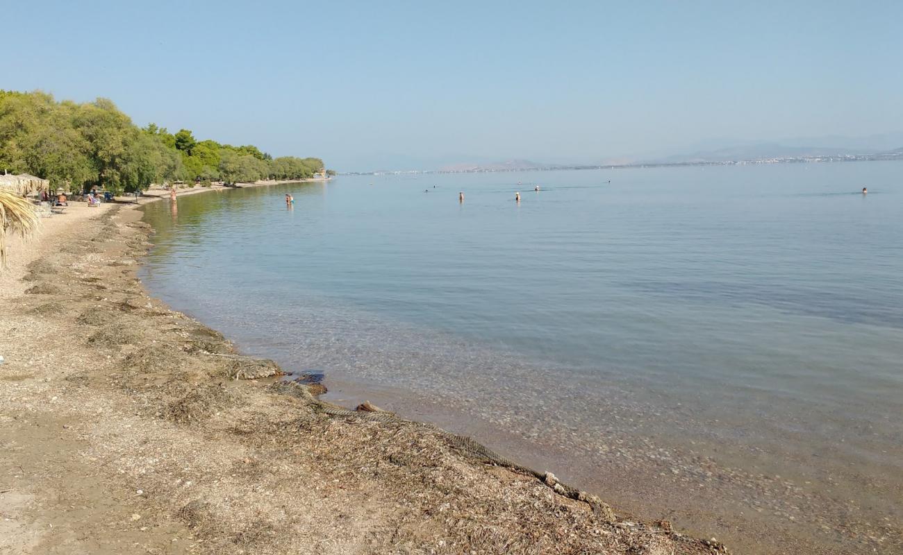 Foto de Plaka dilesi beach con arena/guijarros negro superficie