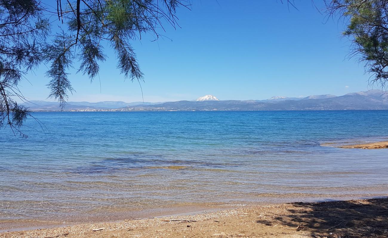 Foto de Plaka dilesi beach II con arena/guijarros negro superficie