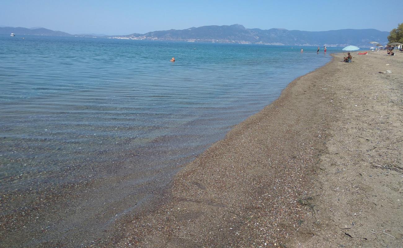 Foto de Suvala Arkitsa beach con arena oscura superficie