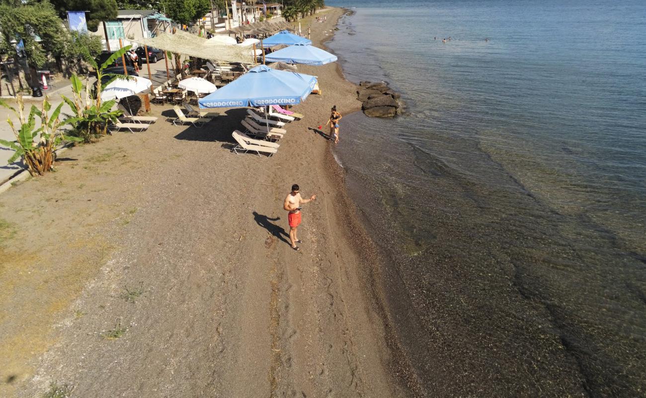 Foto de Rachon beach con guijarro fino oscuro superficie