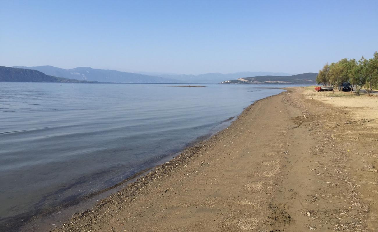 Foto de Pelasgia beach con arena oscura superficie