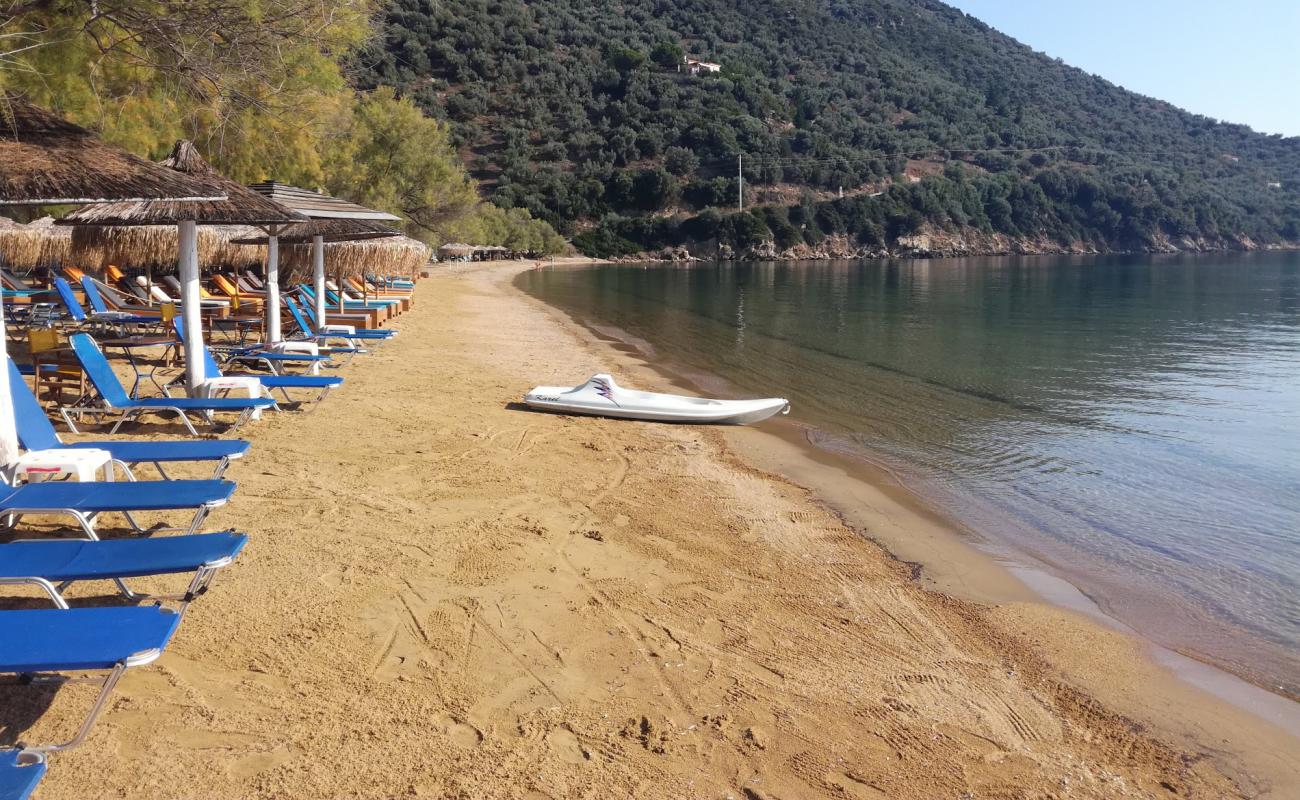 Foto de Lefki beach con arena brillante superficie