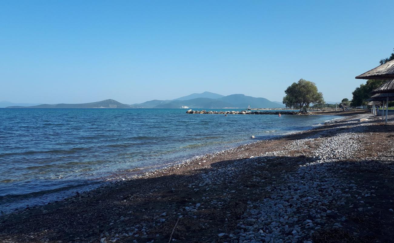 Foto de Almirou beach con guijarro oscuro superficie