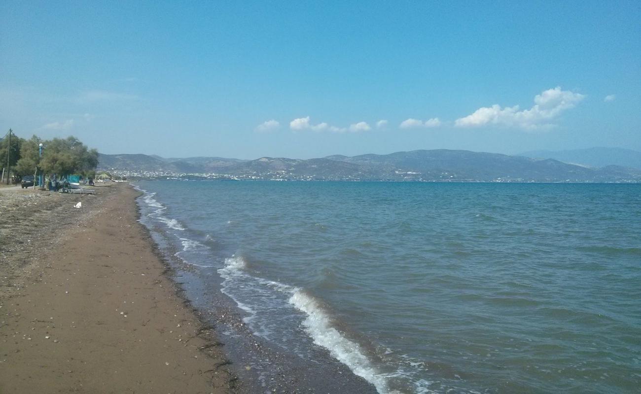 Foto de Dimitriada beach con arena/guijarros negro superficie