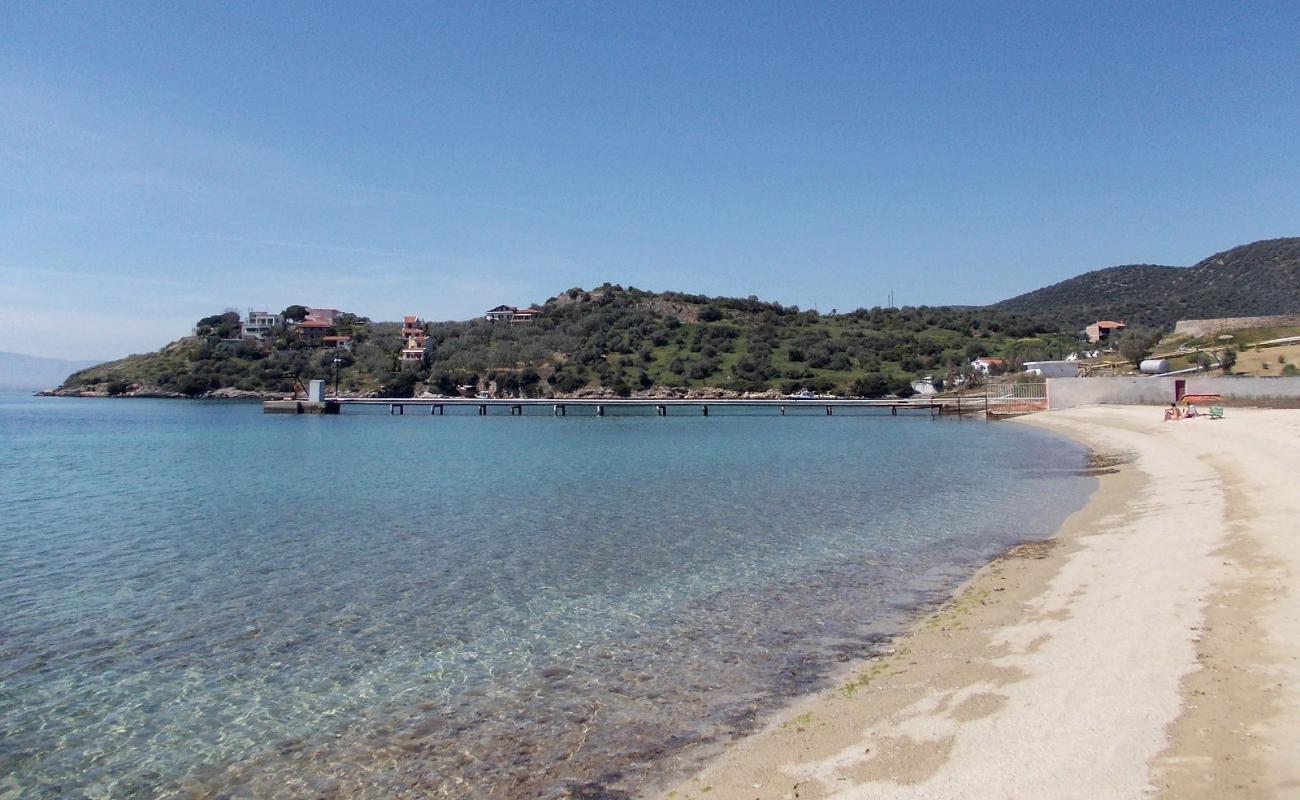 Foto de Ag. Georgios beach con arena/guijarros negro superficie