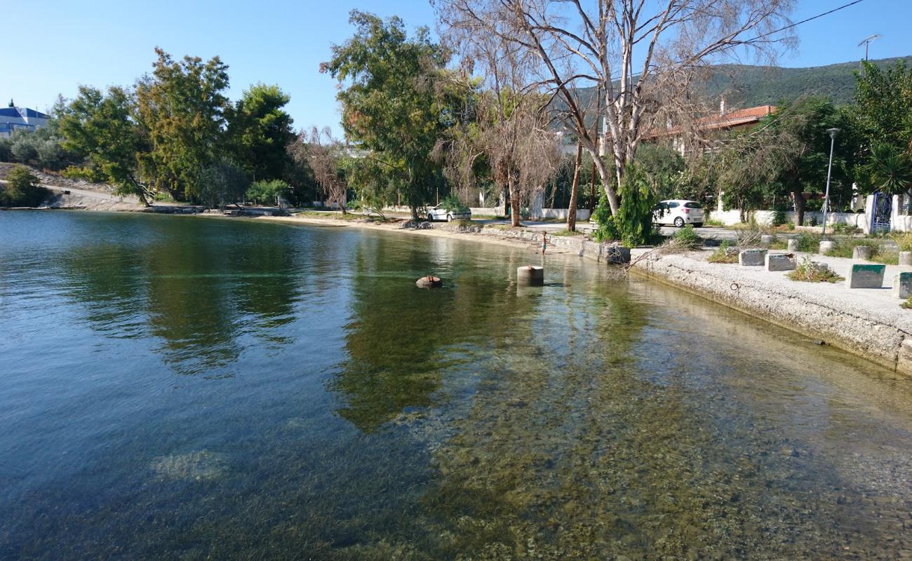 Foto de Ag. Georgios tiny beach con arena/guijarros negro superficie