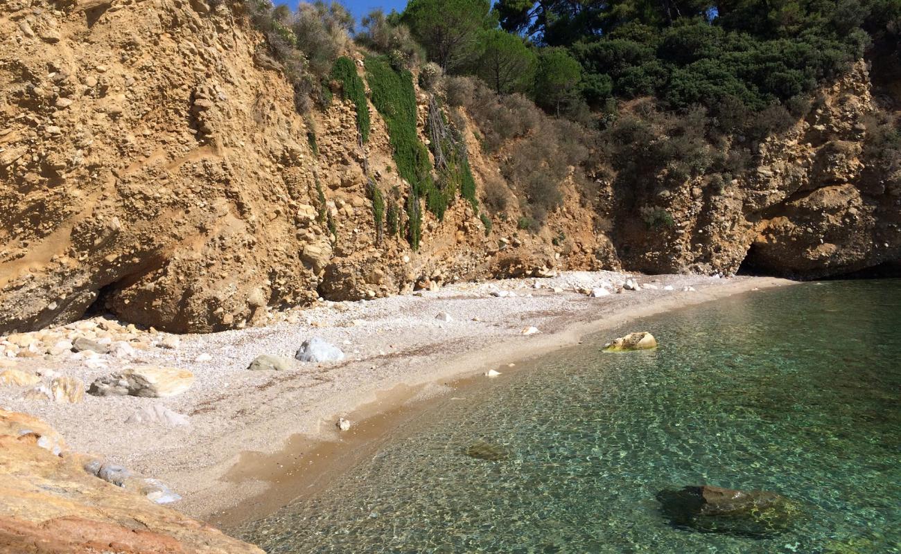 Foto de Agrelia beach con arena brillante superficie