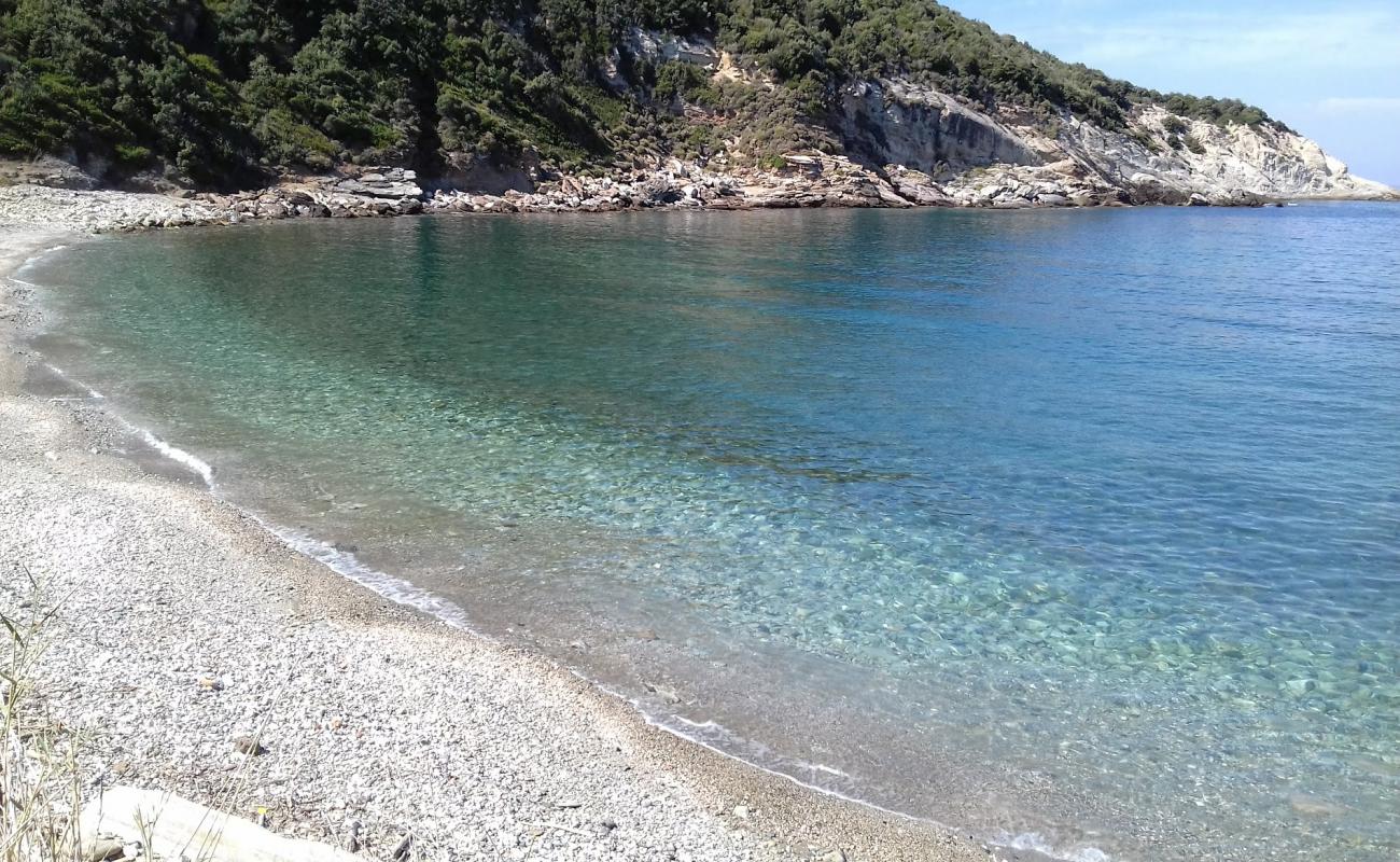 Foto de Agios Dimitros beach con guijarro ligero superficie