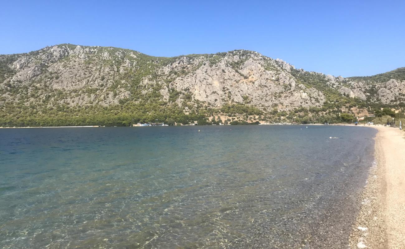 Foto de Niki's beach con guijarro fino oscuro superficie