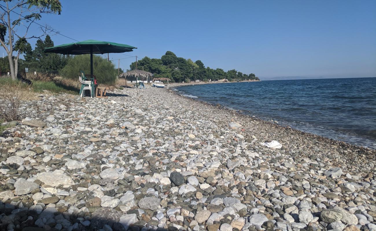 Foto de Agioi Theodoroi 2 beach con guijarro fino oscuro superficie