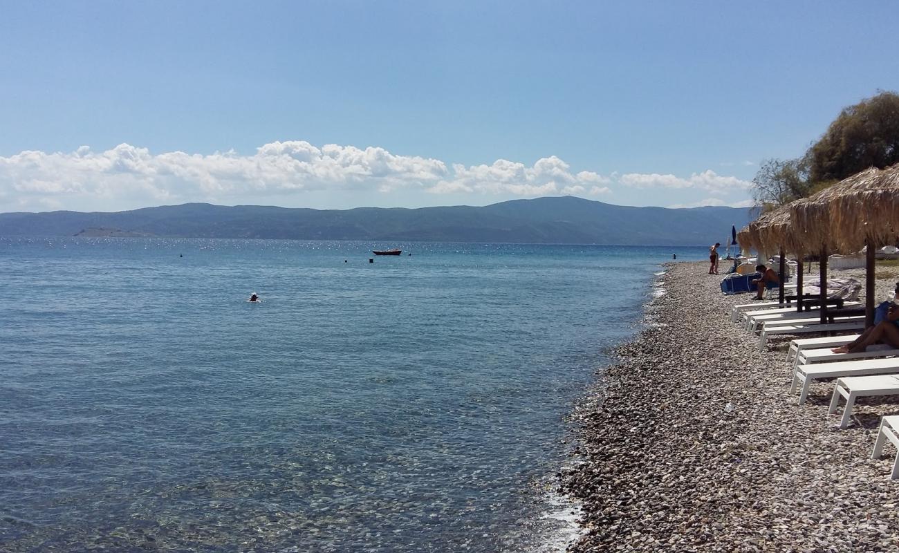 Foto de Agioi Theodoroi beach con guijarro fino gris superficie