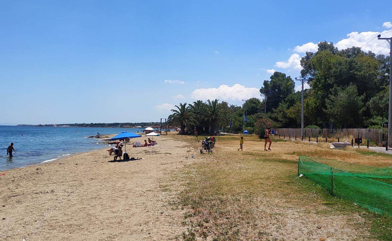 Nea Makri Beach photo #9