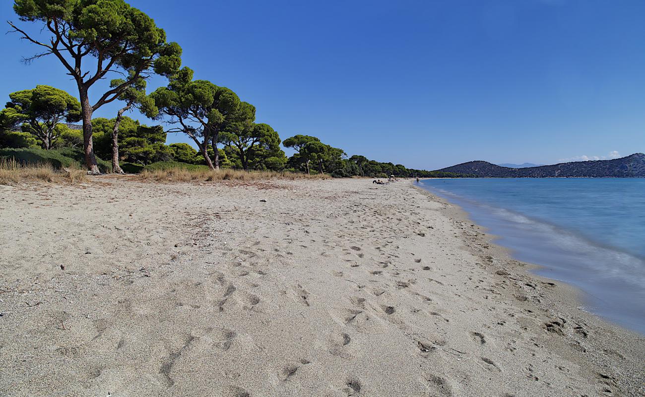 Foto de Playa de Schinias con arena brillante superficie