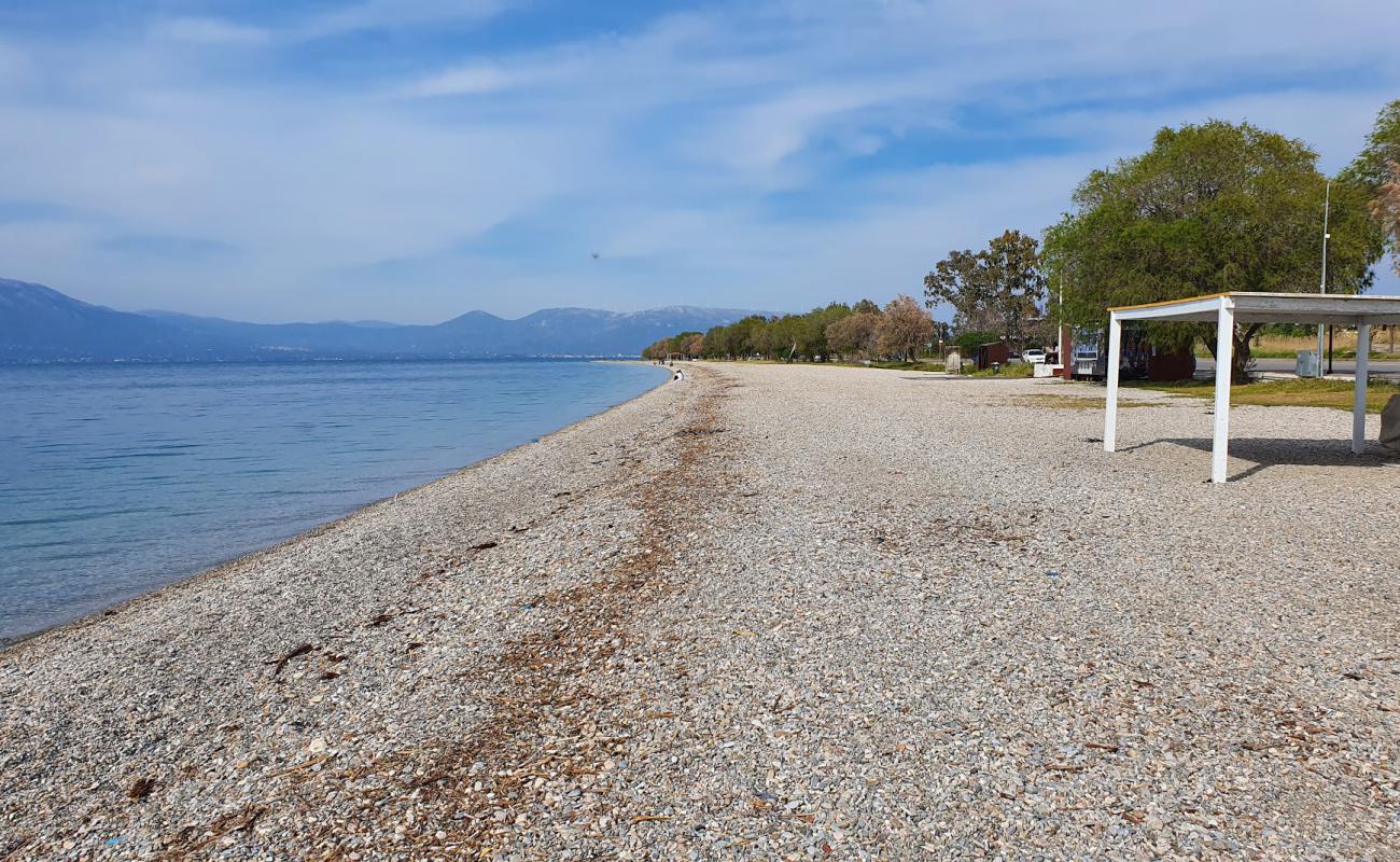 Foto de Paralia Markopoulou II con guijarro ligero superficie