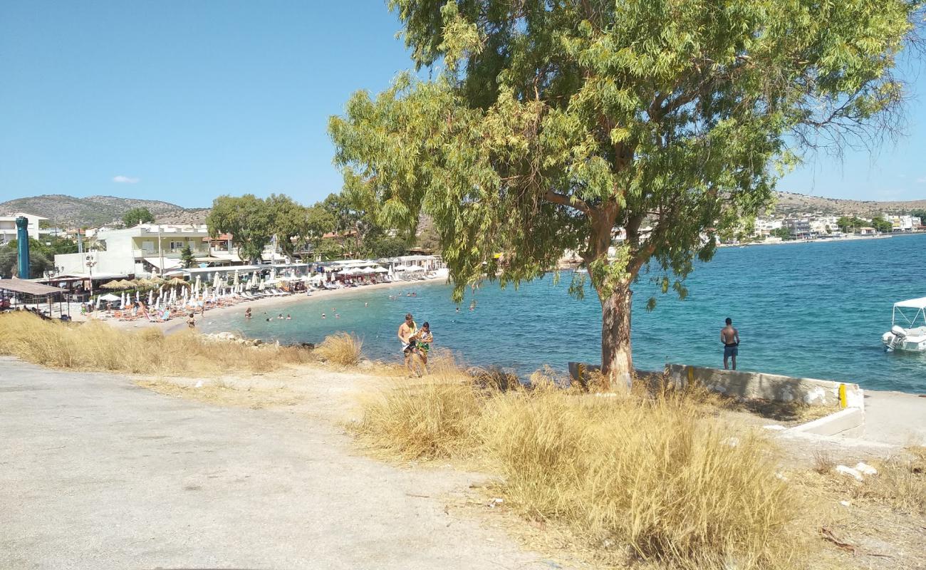 Foto de Selinia beach con arena/guijarros negro superficie