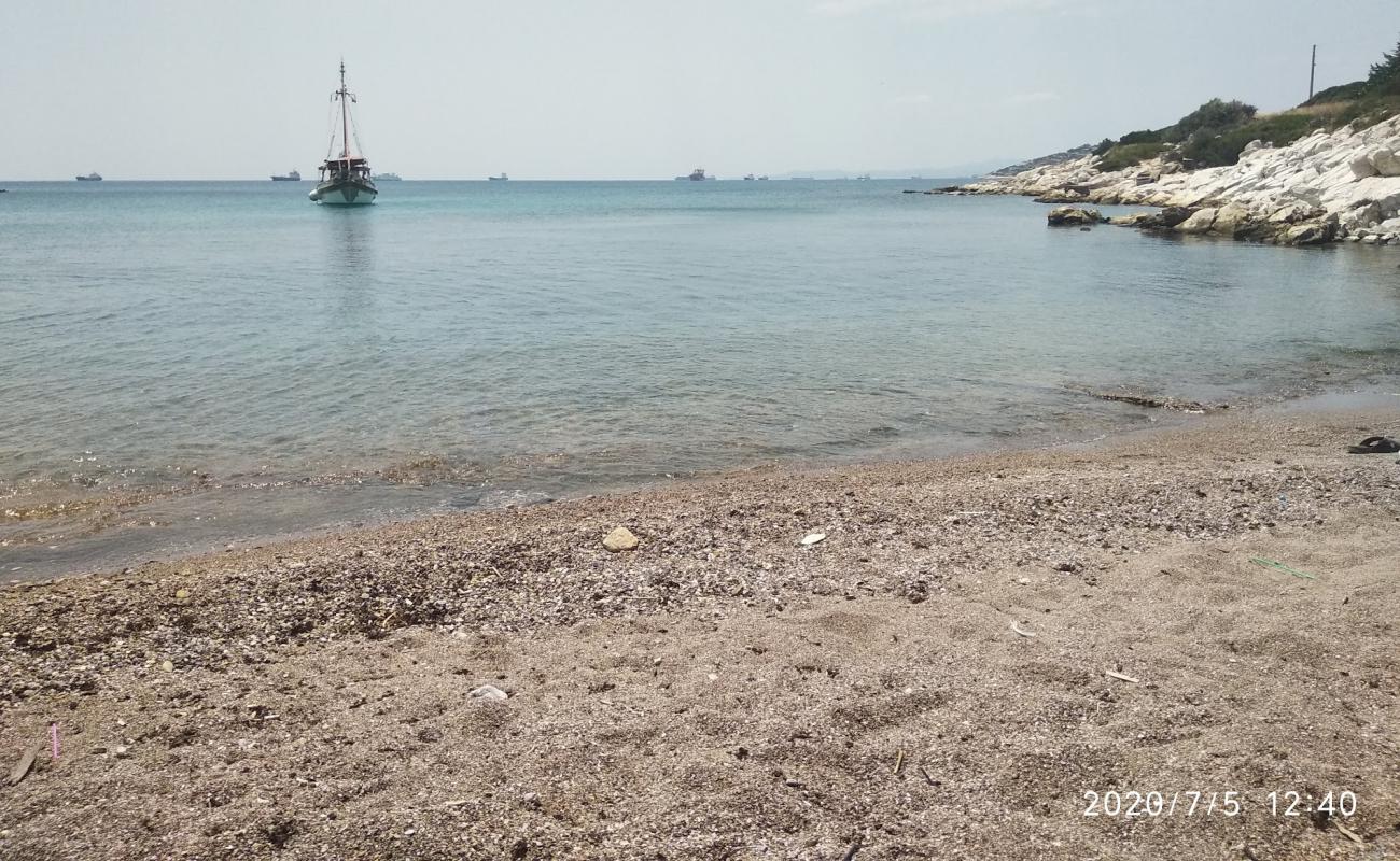 Foto de Paralia Kynosouras con arena/guijarros negro superficie