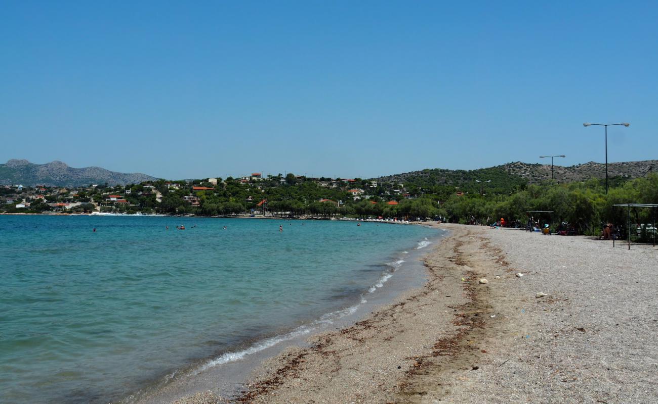 Foto de Paralia Vasilika con guijarro fino claro superficie