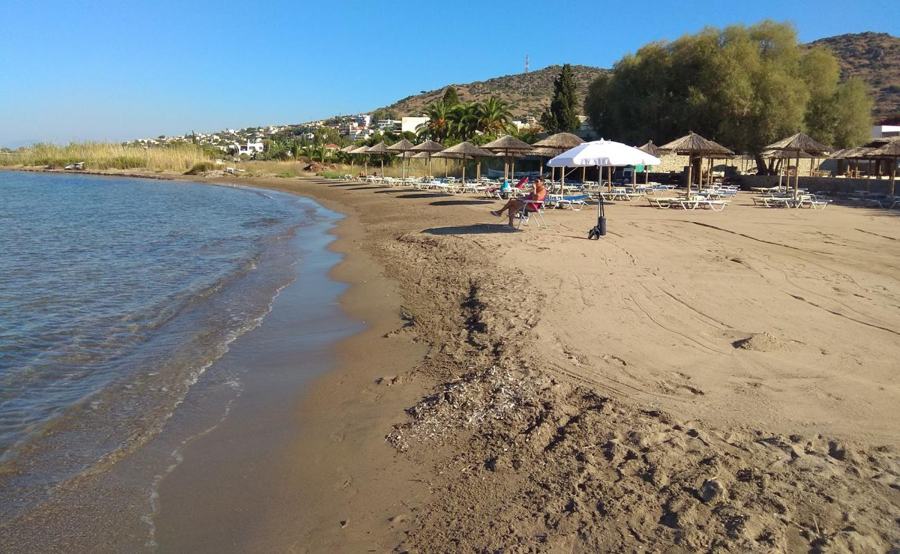 Foto de Paralia Marathona II con arena oscura superficie