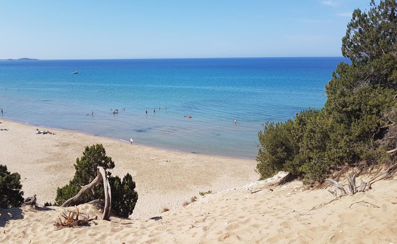 Foto de Paralia Gymniston con brillante arena fina superficie