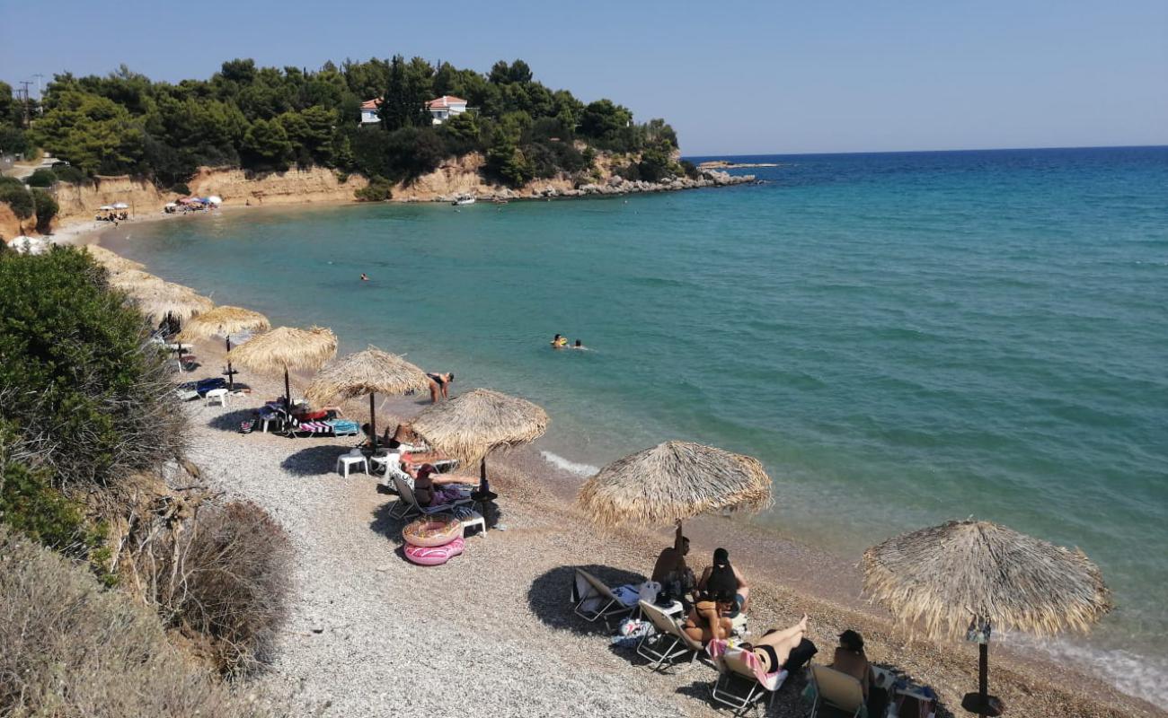 Foto de Chrysi Akti beach con guijarro fino claro superficie