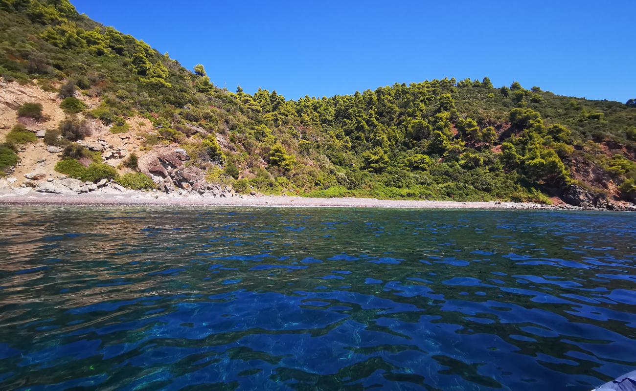 Foto de Wild Boar bay con guijarro ligero superficie