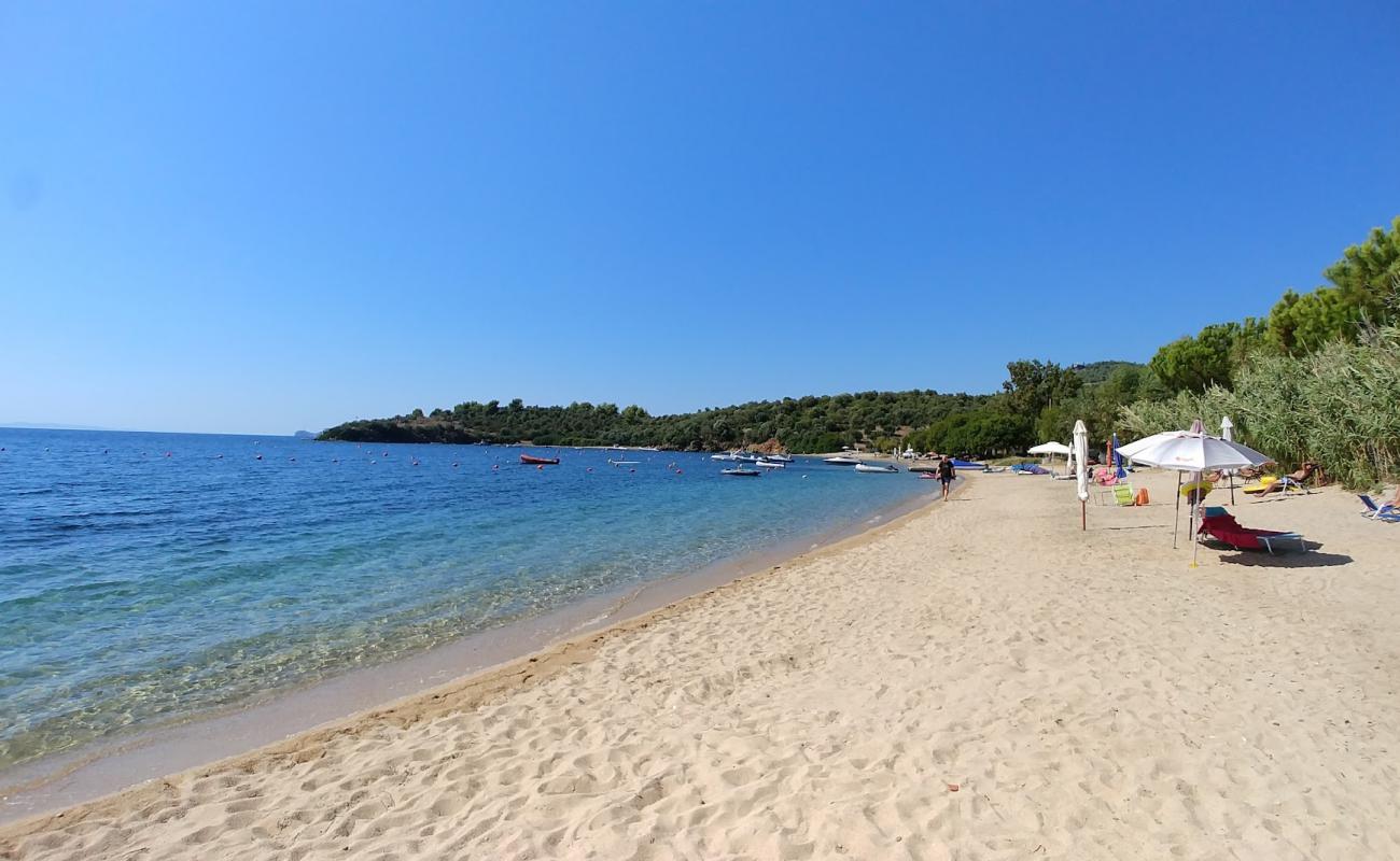 Foto de Agios Kyriaki beach con brillante arena fina superficie