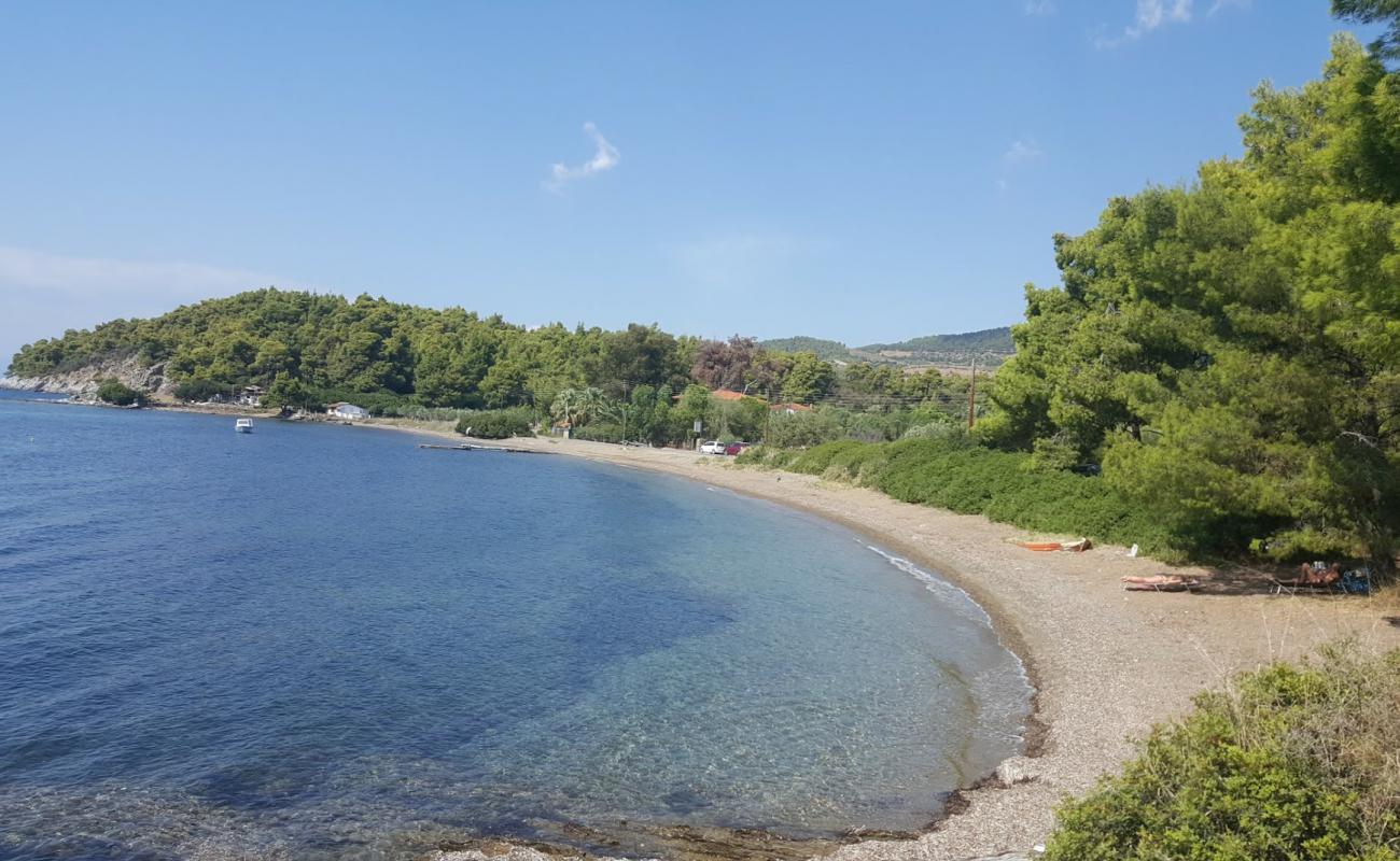 Foto de Koutsoupia beach con arena fina y guijarros superficie