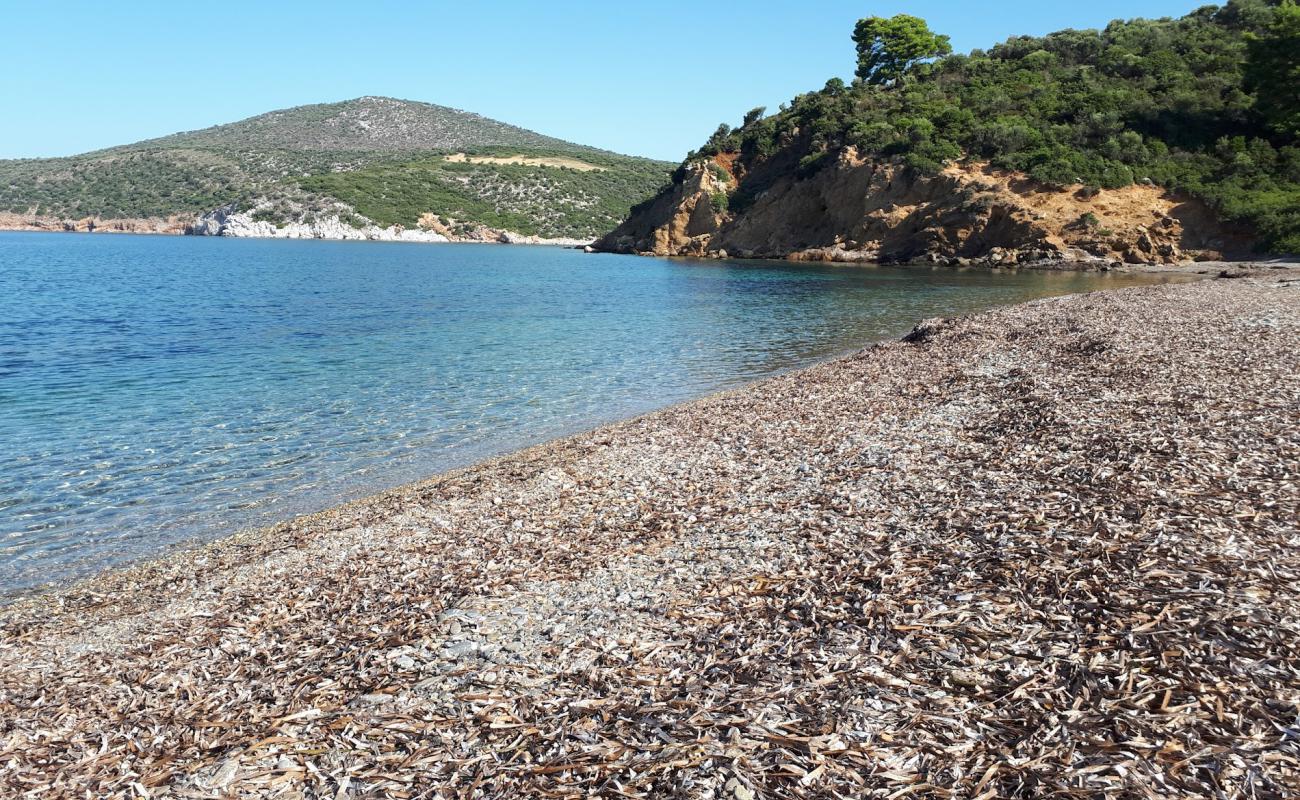 Foto de Secret beach con guijarro oscuro superficie