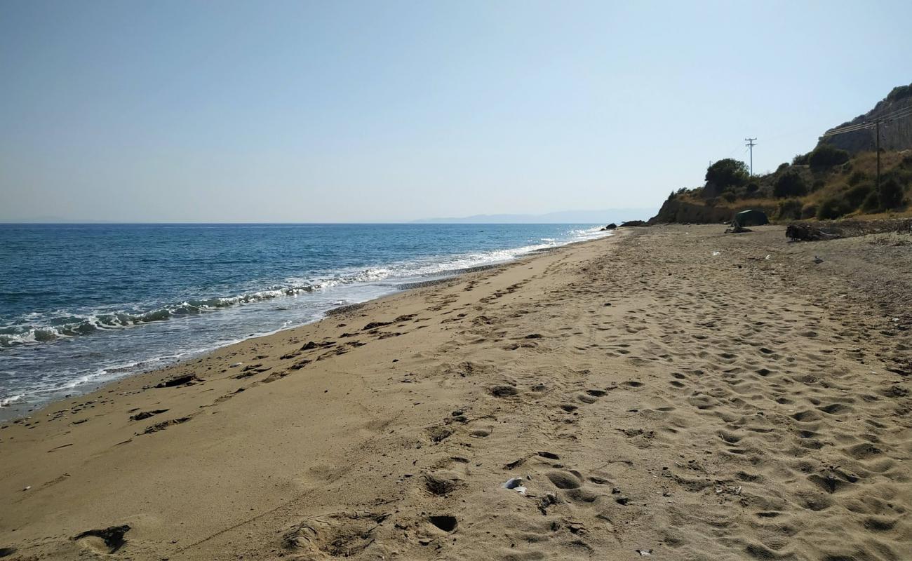 Foto de Coyota's beach con arena blanca superficie