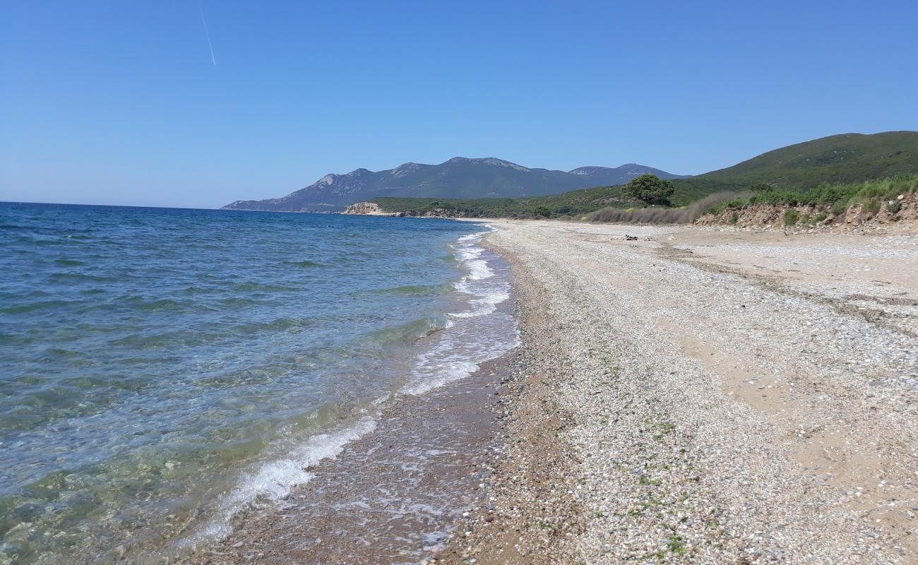 Foto de Mesimvria Zoni beach con arena fina y guijarros superficie