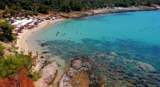 Playa de Notos