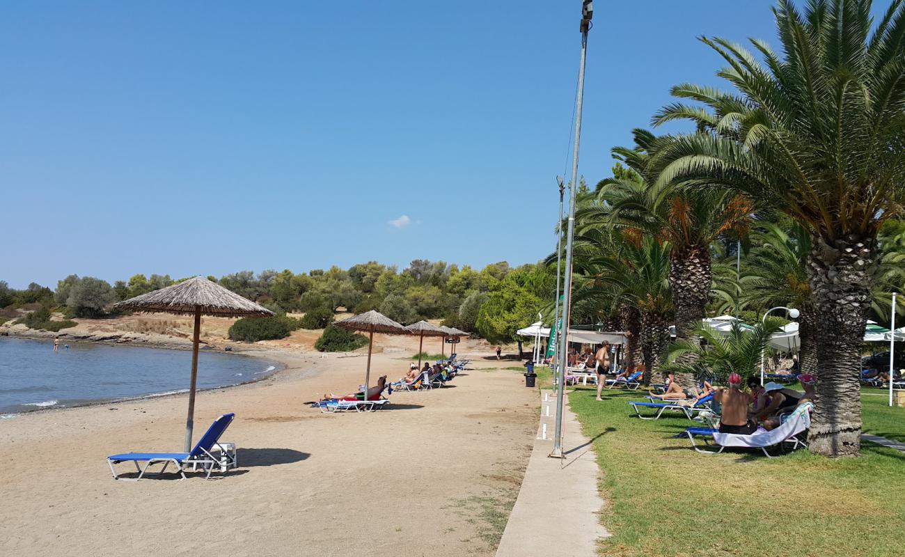 Foto de Voleri beach con arena oscura superficie