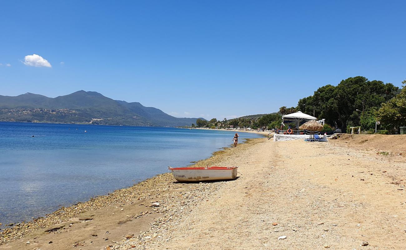 Foto de Maounis beach con arena/guijarros negro superficie