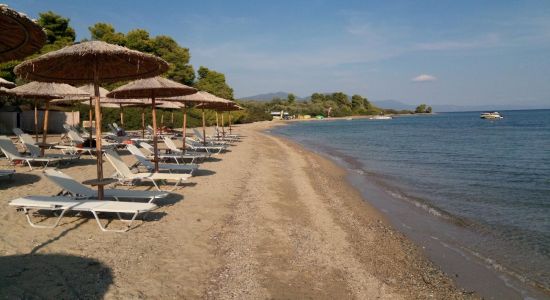 Chrysi Akti beach