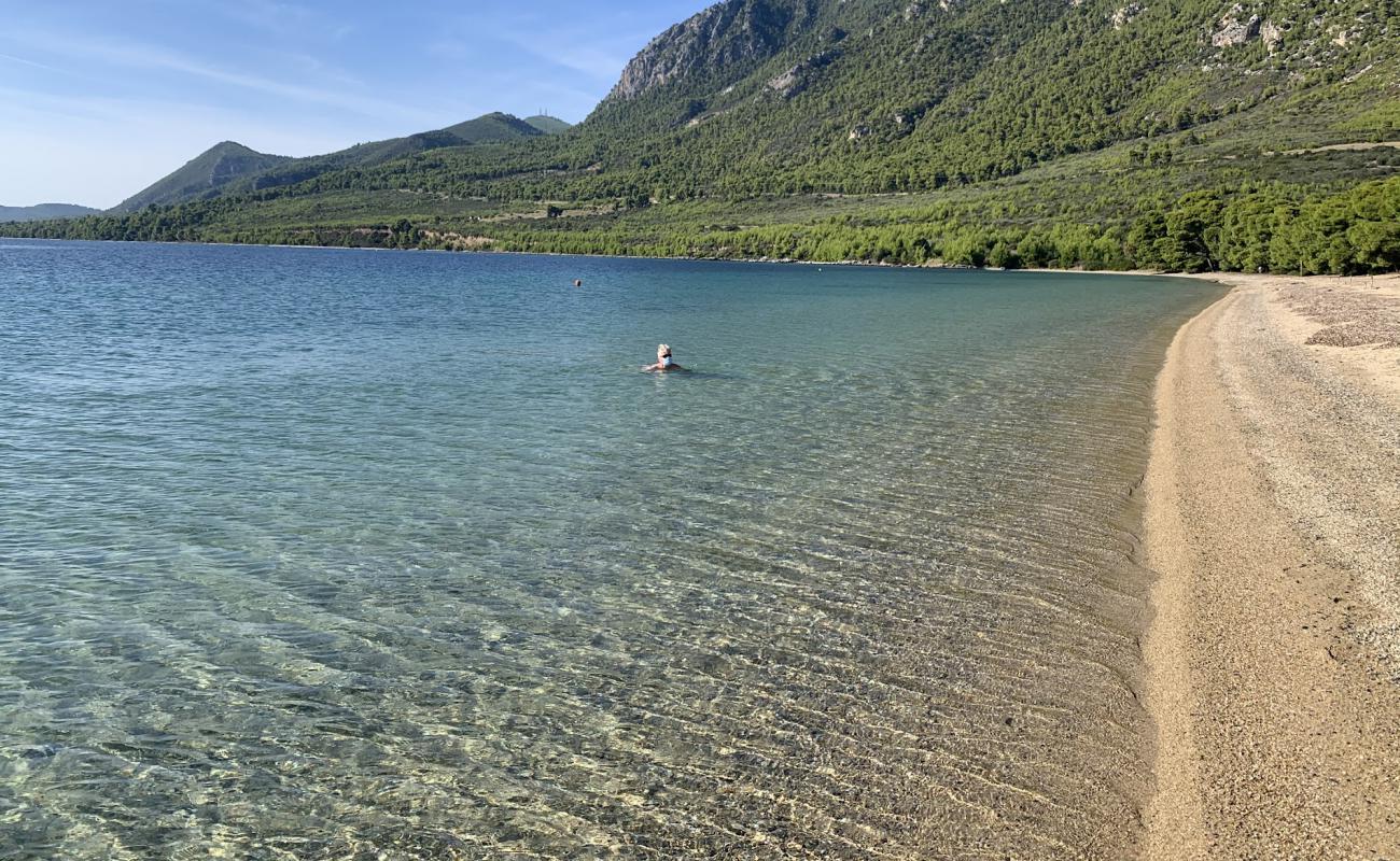 Foto de Gregolimano beach con arena brillante superficie